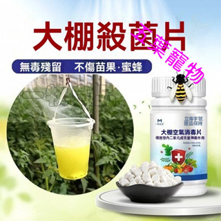 五葉寵物 大棚空氣消毒片溫室大棚消毒殺菌劑草莓白粉病葉黴灰黴霜黴殺菌劑 72YW