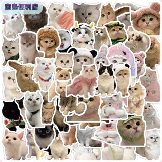 南島💖60 件裝可愛小貓貓 MEME 防水貼紙筆記本筆記本電腦頭盔貼花學生 DIY 材料貼紙學校用品
