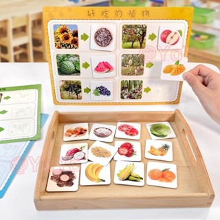 桃園出貨✈️好吃的植物果實配對 幼兒園區域材料 環創 小中大班 自製教玩具 益智區 早教配對