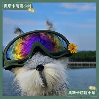 💥臺灣出貨💥寵物眼鏡狗狗護目鏡柯基泰迪太陽鏡狗專用墨鏡邊牧法鬥騎行防風鏡