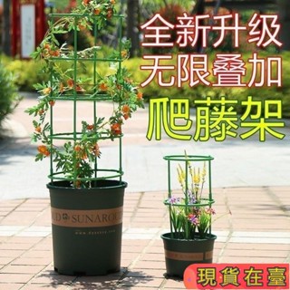 ✈️滿額免運💌植物支架 植物支撐 植物支撐桿 盆栽支撐架 盆栽支架 爬藤支架 花盆支架 蘭花支架 園藝支架 蝴26CH