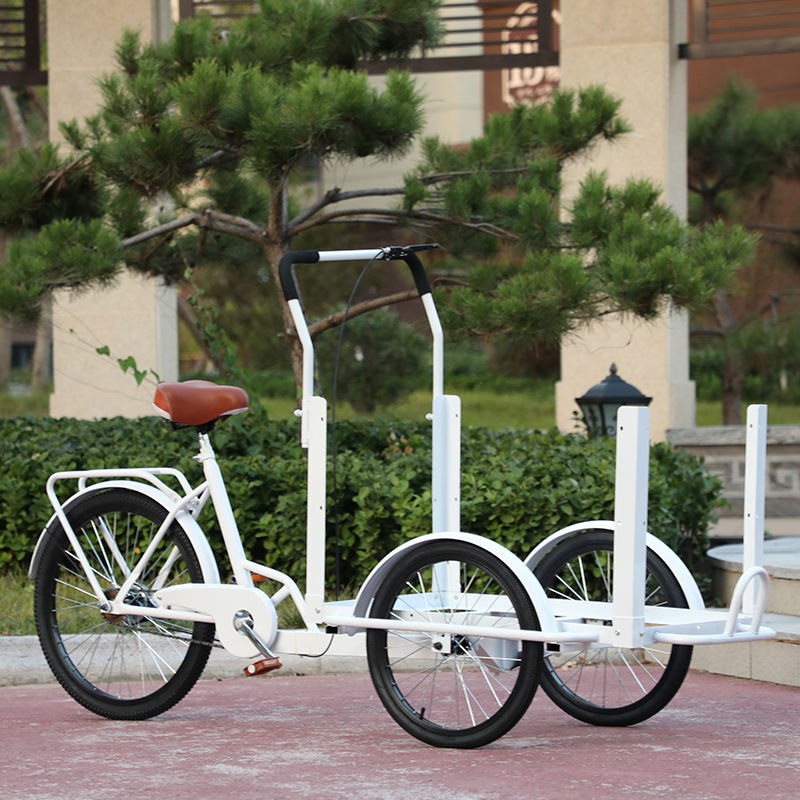 倒騎驢三輪車 腳蹬自行車 網紅出攤車 擺攤移動小吃車 改造流動售貨車