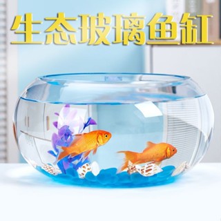 魚缸 魚缸造景 小魚缸 壓克力魚缸 懶人魚缸 玻璃魚缸 烏龜缸 魚缸透明玻璃辦公桌創意水培圓形圓球圓型小型烏龜迷你桌麵小