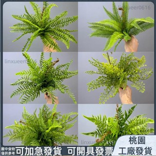 ⚡臺灣有貨⚡模擬蕨草 模擬蕨葉波斯草模擬蕨類植物蕨草手感軟膠植物牆造景配材魚尾蕨葉13