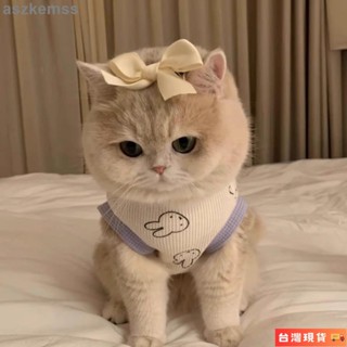 🌺臺灣限時低價🌺超萌可愛拼色貓咪衣服夏季背心外出防脫透氣薄款小型狗狗寵物服裝