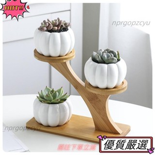 🌈限時促銷 簡約白色創意多肉植物陶瓷小南瓜含樹梢竹架組合盆栽花盆32