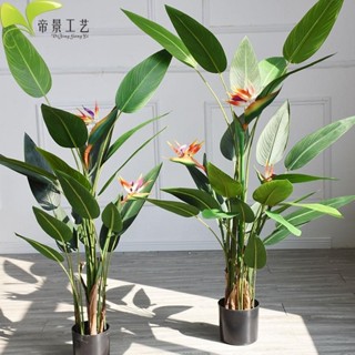 北歐風家居模擬旅人蕉裝飾植物天堂鳥落地花卉景觀綠植盆栽擺件辰辰嚴選店