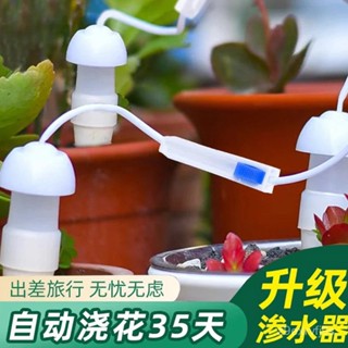 💎 自動澆水 澆花器 自動澆水器 澆花 滴水器 自動滴灌 自動澆花器 澆水神器 澆花神器 懶人澆水