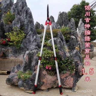 高階品質🎁免運🚚 佐川吉加長伸縮綠籬剪 果樹剪刀 修剪樹枝 園林修枝剪 園藝剪 長1.5米