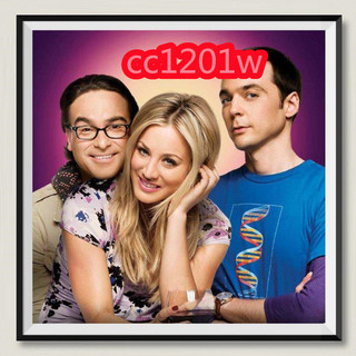 生活大爆炸.The Big Bang Theory1-12季完整版 美劇中英字幕不是DVD光碟