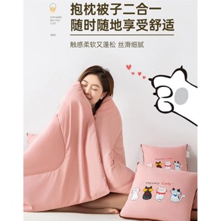 🌸臺灣出貨🌸兩用抱枕被抱枕毯 貓咪家族抱枕被子二合一 辦公室抱枕毯 車用抱枕被 沙發靠枕
