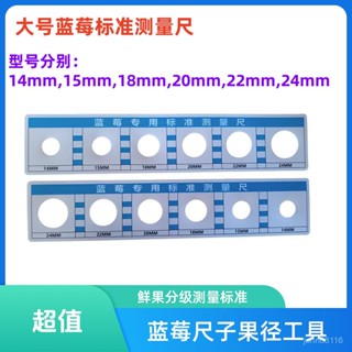 🔥桃園出貨🔥【耐用好握】櫻桃測量工具瓜果徑卡尺藍莓鮮果jjjj級車釐子標準分級葡萄尺子