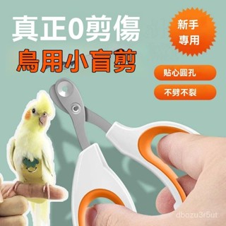 🎀寵尚天 寵物指甲剪 寵物磨甲機 磨甲器 照血線指甲剪 鸚鵡磨甲器 小寵指甲剪 帶LED燈指甲剪鸚鵡專用指甲剪鳥用磨指甲