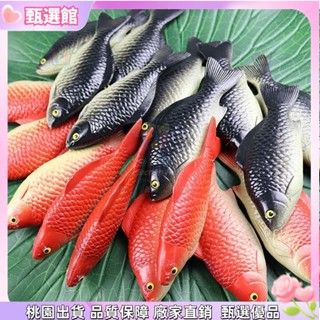 ✨桃園出貨 模擬魚冰箱裝飾 玩具 學校 幼兒餐廳教材學生寫真塑膠魚