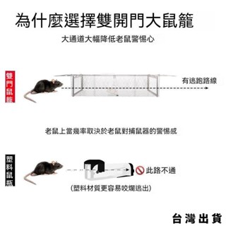 臺灣出貨 捕鼠神器 滅鼠器 抓老鼠 捉老鼠 捕鼠器 捕鼠夾 一鍋端 雙門踏板老鼠籠 連續捕鼠器 捕鼠籠 老鼠夾