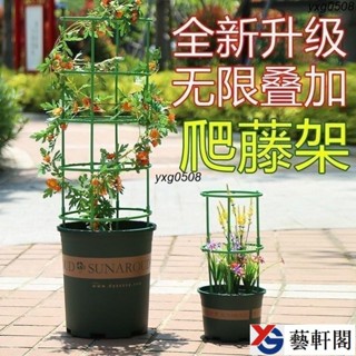 植物支架 植物支撐 植物支撐桿 盆栽支撐架 盆栽支架 爬藤支架 花盆支架 蘭花支架 園藝支架 蝴蝶蘭