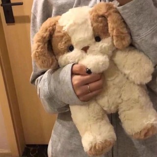 【促銷折扣】生日禮物 毛絨玩具 可愛公仔可愛安睡系列小狗兔安撫玩偶毛絨玩具陪伴公仔布娃娃女孩兒童禮物