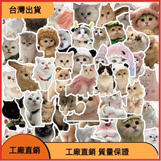 免運の60 件裝可愛小貓貓 MEME 防水貼紙筆記本筆記本電腦頭盔貼花學生 DIY 材料貼紙學