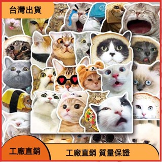 免運の隨機 10/50 件有趣的貓 DIY 卡通塗鴉防水貼紙適用於 DIY 手機筆記本電腦吉他