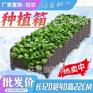 【耐曬耐用】種菜神器長方形樓頂家庭陽臺塑膠大花盆戶外庭院種菜盆蔬菜種00
