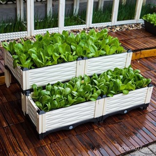 免運 破損補發 【自種健康】陽臺蔬菜種植箱庭院種菜神器特大號加厚塑膠長方形種菜盆菜園花盆 園藝用品