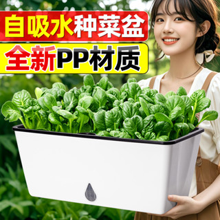🔥桃園有貨🔥【1.3萬人收藏】陽臺種菜盆自動吸水種菜專用盆加大加厚長方形長條種菜箱塑膠花盆