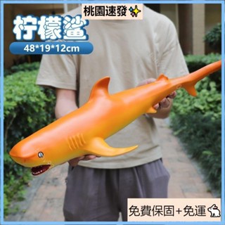 臺灣出貨（免運）軟膠鯊魚海洋動物模型模擬大號大白鯊鯨魚海豚兒童3-9嵗生日禮物