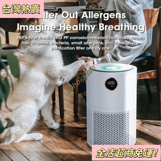 【臺灣出貨】100000mah 家用空氣淨化器 HEPA 過濾器 PM 2.5 H13 HEPA 去
