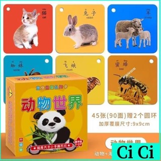 ✨兒童早敎卡 益智學習卡片 寶寶啟懞認知 卡動物卡片 幼兒五官數字卡片 童學習卡片 蔬果 風車 圖卡
