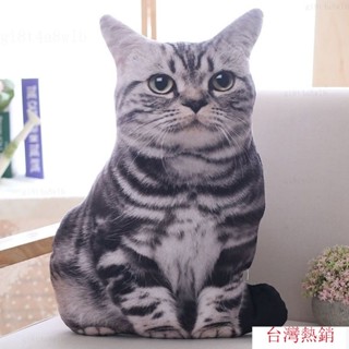【熱銷】3d模擬貓咪抱枕 毛絨玩具 貓抓 diy貓咪抱枕 寵物抱枕 沙發靠枕 動物抱枕動物睡覺網紅可愛女生禮物可拆洗虎