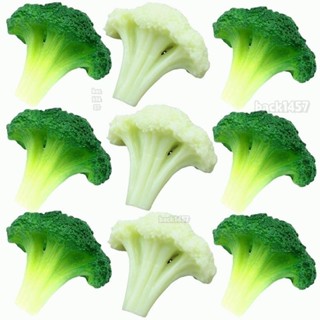 6件裝人造pvc花椰菜西蘭花片模型模擬假蔬菜食品餐廳廚房展示攝影道具