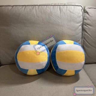 *經典三色 排球抱枕 擬真造型抱枕 靠墊 聖誕 交換禮物 生日禮物 畢業禮物 排球娃娃YiZE