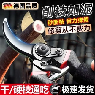 （限時優惠）免運 樹枝剪 園藝剪 花剪 園藝剪刀 修枝剪 高枝剪 粗枝剪刀 修花剪刀 果樹剪 園藝工具 花藝剪刀