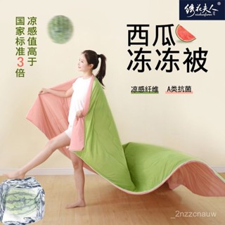 🔥全網-最低價🔥涼感被 雙人涼被 西瓜凍凍被 涼被 冰冰被 空調被 單人涼被 冰絲被 冷氣被 夏季被子
