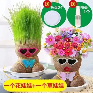 🎉米寶倉🎉開花娃娃新長草頭小植物盆栽室內陽臺 可愛桌麵擺件辦公室盆栽桌麵擺件療癒小物