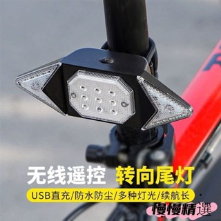 😶桃園出貨😶 免運 行車燈 自行車尾燈 腳踏車燈 腳踏車尾燈 單車尾燈 後燈 花鼓燈 七彩車輪燈 自行車警示燈