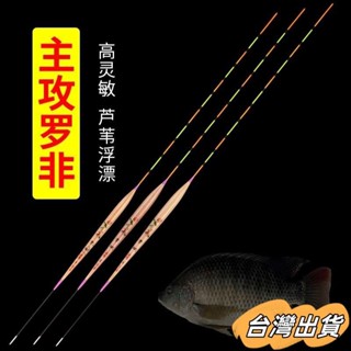 臺灣出貨 釣具 福壽魚專用浮標 釣福壽 俊昕蘆葦羅非魚漂鯽鯉細長身短腳長尾醒目加粗底釣高靈敏浮漂羅飛漂 浮標 福壽浮標