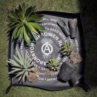 neighborhood srl nbhd花盆日產塊根潮流綠植換土墊多肉1