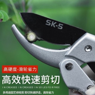 ✨限時優惠✨ 修枝剪花剪園藝剪刀花藝修剪樹枝剪刀果樹剪刀花枝剪刀修花粗枝剪 PVSZ