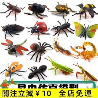 臺灣熱銷✨崑蟲玩具模擬動物套餐海底動物模型螞蟻蜘蛛蜜蜂兒童恐龍玩具✨免運