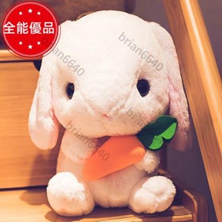 [全能優品]🚀🚀✨長耳朵兔公仔 毛絨玩具 垂耳兔子 玩偶 抱枕 布娃娃 女生可愛抱枕 生日禮物