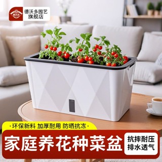 種植盆 蔬菜槽 花槽 菜盆 菜圃 蔬菜箱 蔬菜盆 種植箱 栽培盆 自動吸水花盆 種菜種花種植箱 家庭陽臺懶人花槽