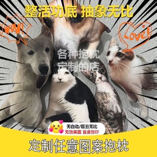 異形無白邊抱枕定製巨醜人像醜貓狗寵物玩偶送禮噁搞抽象靠墊靠枕