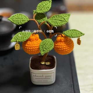 免運💯辦公室創意禮物手工diy髮財樹鈎織毛綫小盆栽橘子鈎針編織材料包 手工毛綫編織材料包 手作DIY編織 B9FC