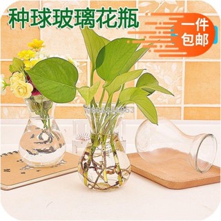 🔥臺灣出貨🔥【新款上市】透明花瓶 花器 風信子玻璃瓶植物容器插花瓶綠蘿水仙花瓶插花透明花盆風信子花瓶