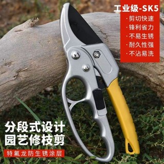 高空修枝剪 園藝剪 果樹修枝剪刀分段式專業省力園藝修剪樹枝園林修花枝剪粗枝剪子