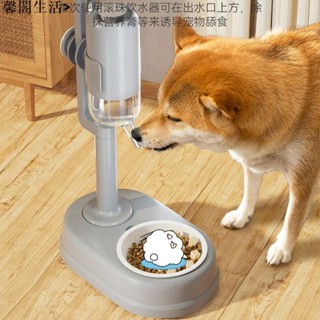 臺灣發貨》自動掛式飲水機 狗狗喝水器 不濕嘴飲水器 懸掛籠子餵食碗喝水壺寵物用品