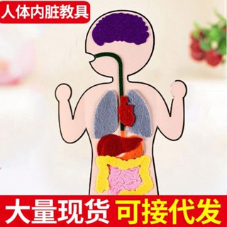 🔥臺灣出貨🔥兒童手工製作人體敎具創意兒童不織布手工diy製作材料包益智玩具