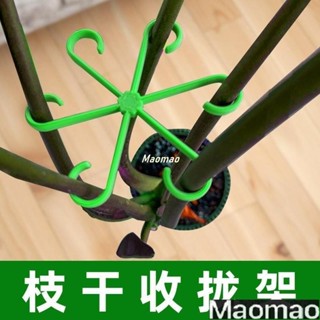 龜背竹 植物莖支架 植物支架 龜背芋架 花莖架 隱形支撐架 透明支架 植物固定支架 SDIS