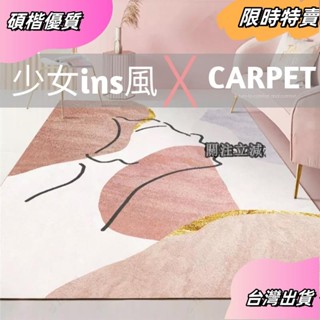 ☘️臺灣出貨☘️少女ins風地毯 客制尺寸材質 加厚仿羊絨 客廳地毯 臥室床邊毯 北歐茶几地毯asfas